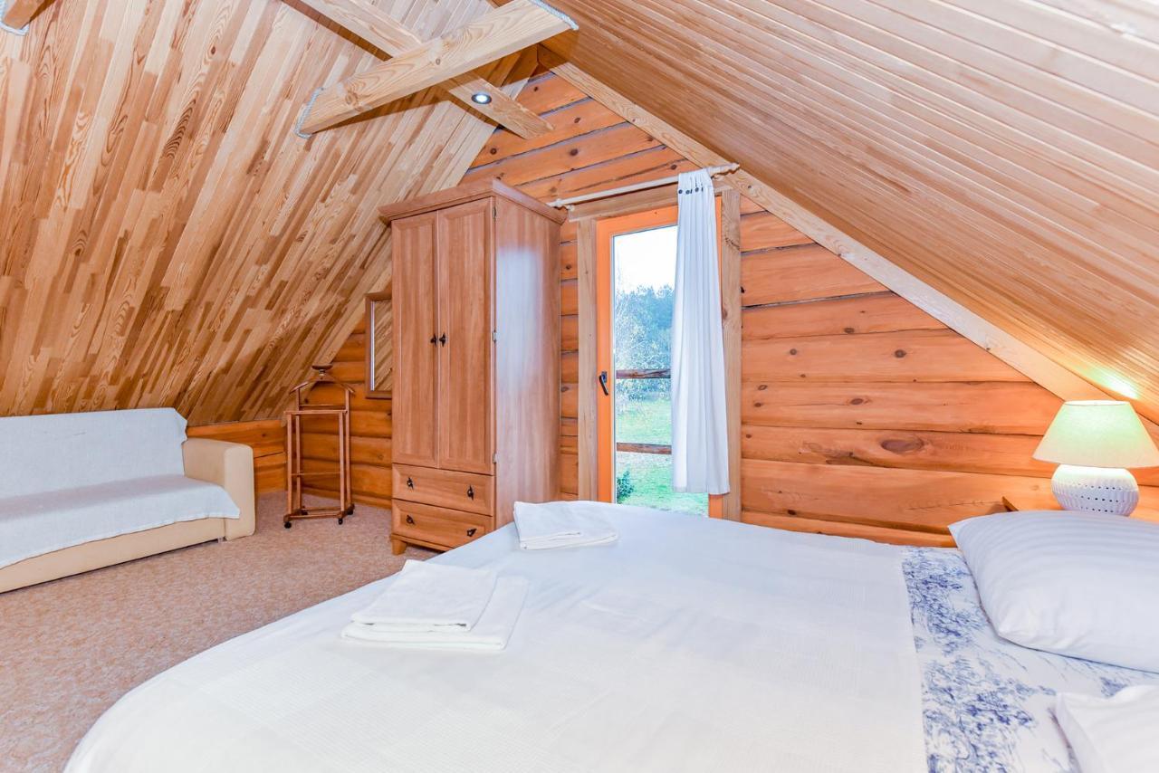 Villa Aerodream Trakai à Antakalnis  Extérieur photo